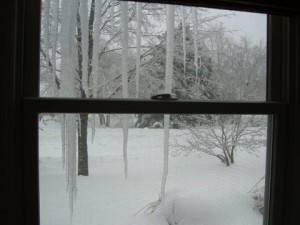 Winter Wonderland